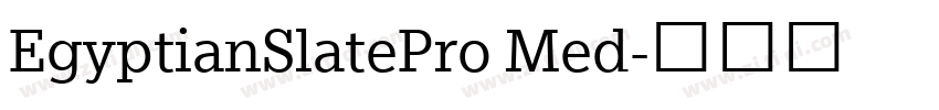 EgyptianSlatePro Med字体转换